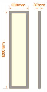 Pannello LED a montaggio superficiale 60 W, 230 V, 30 x 120 cm, bianco