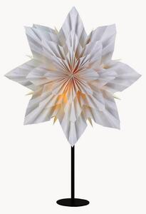 Stella luminosa di Natale Neela