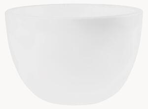 Portavaso solare a LED Shining Curvy Pot