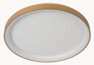 Plafoniera a LED con luce regolabile Vidal