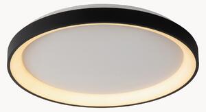 Plafoniera a LED con luce regolabile Vidal