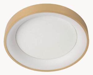 Plafoniera a LED con luce regolabile Vidal