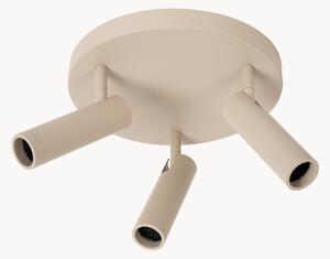 Faretti da soffitto Grado