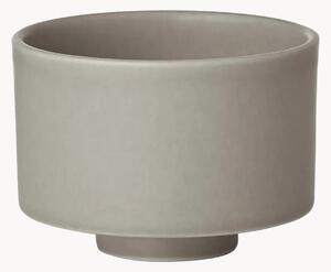 Tazza Makoto