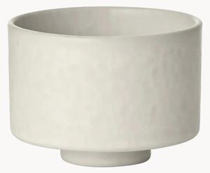 Tazza Makoto