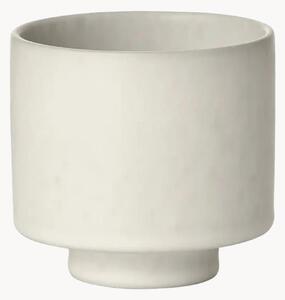 Tazza Makoto
