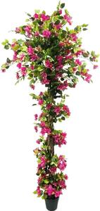 Mini Albero Di Fico Artificiale A Foglia Di Violino 80 Cm: Pianta Finta Ficus Lyrata In Vaso Bianco, Decorazione Per Casa E Ufficio, Zero Manutenzione