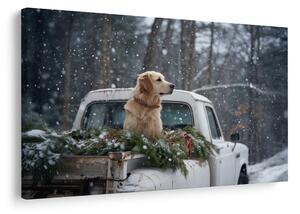 Quadro su tela – Cane natalizio su cassone innevato