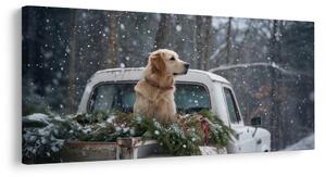 Quadro su tela Natalizio – Cane su cassone pieno di aghi
