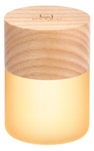 Decorazione luminosa di colore naturale con ricarica USB ø 4,5 cm Lemelia – Gingko