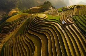 Fotografia Mu Cang Chai Vietnam, Dao Tan Phat