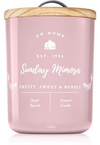 DW Home Farmhouse Sunday Mimosa candela profumata 434 g