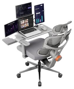 Sedia ergonomica, supporto lombare regolabile, funzione di inclinazione, NT002 Desktop Grigio