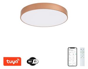 Brilagi-LED Lampada dimmerabile POOL SMART LED/60W/230V 50 cm Wi-Fi Tuya bronzo + telecomando