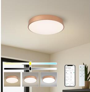 Brilagi-LED Lampada dimmerabile POOL SMART LED/48W/230V 40 cm Wi-Fi Tuya bronzo + telecomando