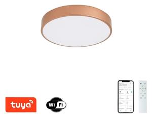Brilagi-LED Lampada dimmerabile POOL SMART LED/48W/230V 40 cm Wi-Fi Tuya bronzo + telecomando
