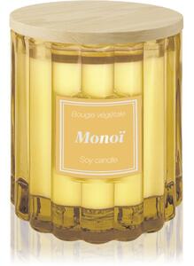 Esprit Provence Monoï candela profumata con tappo 100 g