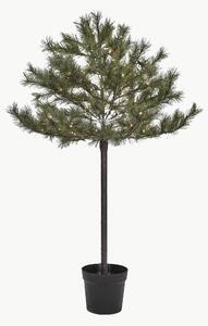 Albero di Natale con luci LED e funzione timer Peuce