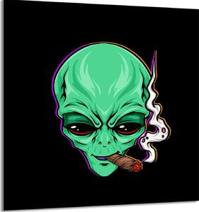 Piatto In Vetro Per Cucina 60X65 Ufo