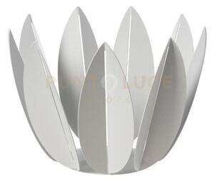 Agrumiera ficus bianco marmo