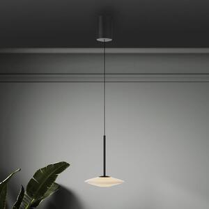 Paul Neuhaus Lampada LED a sospensione Elipsa, 1 luce, bianco/nero dimmerabile, Nero, Soggiorno / Sala da pranzo, Vetro