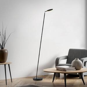 Paul Neuhaus Lampada da terra a LED Akku-Bente, dimmerabile, Nero, Studio / Ufficio, Metallo, Moderno, Lampada LED da terra