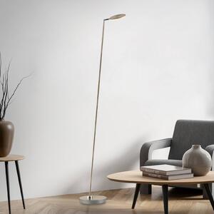 Paul Neuhaus Lampada da terra a LED Akku-Bente, dimmerabile, Ottone / Oro, Studio / Ufficio, Metallo, Moderno, Lampada LED da terra