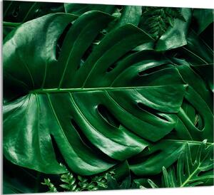 PIATTO IN VETRO PER CUCINA 65x60 Monstera