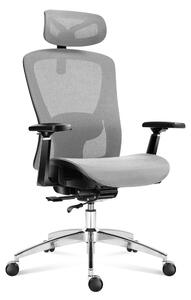 Sedia da ufficio ergonomica - Supporto lombare regolabile - Grigia