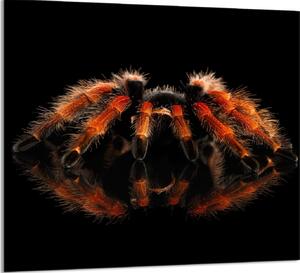 PIATTO IN VETRO PER CUCINA 65x60 Spider