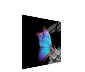 Piastra Di Protezione In Vetrina Per L'erba 50X52 Butterfly