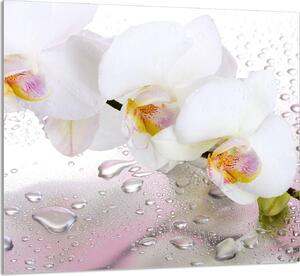 PIATTO DI VETRO PER CUCINA 65x60 Orchidea