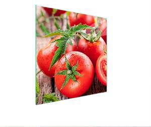 Piastra Di Protezione In Vetrina Per Tomatas 50X52