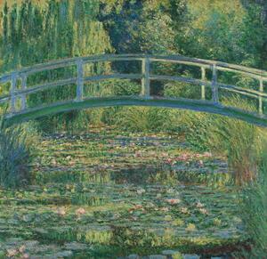 Monet, Claude - Stampa artistica Waterlily Pond 1899, (40 x 40 cm)