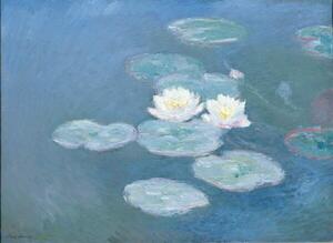 Monet, Claude - Stampa artistica Waterlilies Evening, (40 x 30 cm)