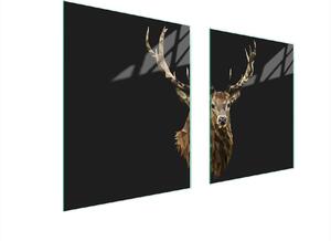 Piastra Di Protezione In Vetrina Per Levi 85X52 Hirsch
