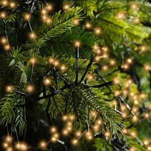 Kaemingk Lumineo catena luminosa a grappolo 588 LED classica calda per esterni 5,5 m nero