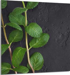 PIATTO IN VETRO PER CUCINA 60x65 Menta