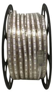 Aigostar - Striscia LED 50m LED/300W/230V IP65 verde