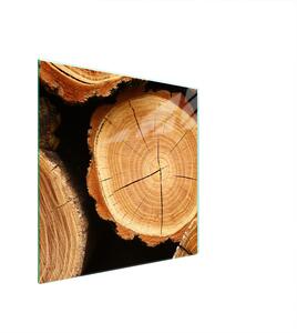 Piastra Di Protezione In Vetrina Per L'erda 50X52 In Legno