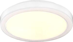 Lampada da soffitto LED, 8 Watt. Illuminazione per soffitto, lampada da soffitto, luce per soffitto. Lampada, corpo illuminante Mila Globo, modello 41668