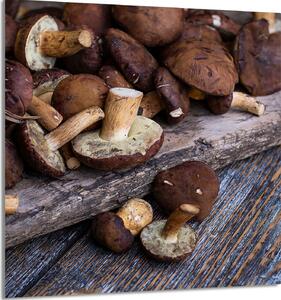 PIATTO IN VETRO PER CUCINA 60x65 Funghi