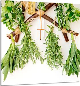PIATTO DI VETRO PER CUCINA 60x65 Erbe