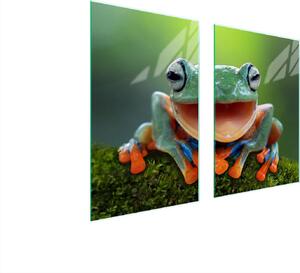 Piatto Di Protezione In Vetro Per Cucina 65X52 Frosch