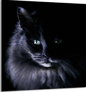 PIATTO IN VETRO PER CUCINA 60x65 cat