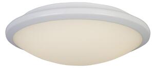 Plafoniera Contemporanea Knutsford Acciaio Bianco Vetro Led 14W 3500K