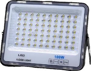 Proiettore, alta luminosità, design resistente, 100W