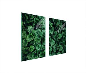 Piastre copri fornelli 2 pezzi 75x52 Copri piano cottura in Vetroceramica tagliere in vetro melissa verde