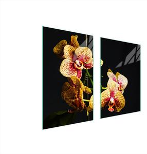 Piatto Di Protezione In Vetro Per Cucina 65X52 Orchidee