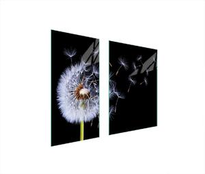 Piastre copri fornelli 2 pezzi 75x52 Copri piano cottura in Vetroceramica tagliere in vetro dente di leone nero